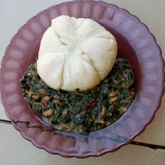 A picture of Miyar busheshen zogale.