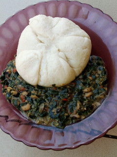 A picture of Miyar busheshen zogale.