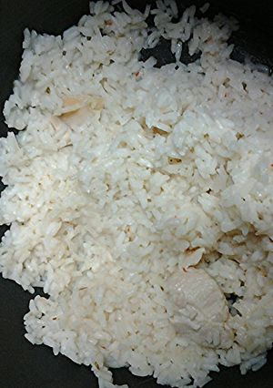 A picture of Rice with chicken.
