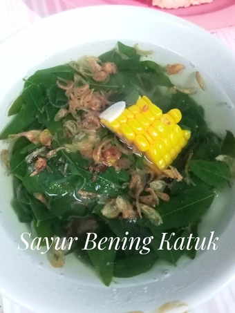 Cara Simple Membikin Resep  Sayur Bening Katuk yang Lezat Sekali, Enak Banget
