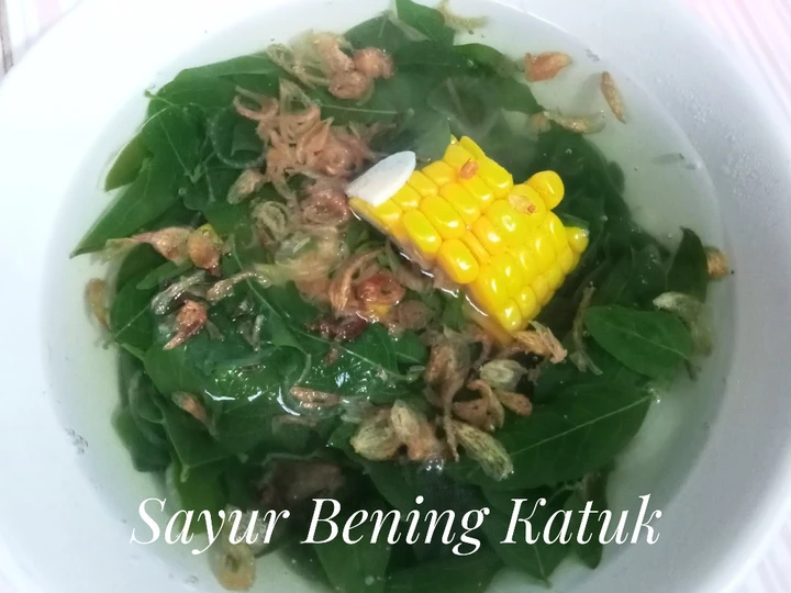 Cara Simple Membikin Resep  Sayur Bening Katuk yang Lezat Sekali, Enak Banget