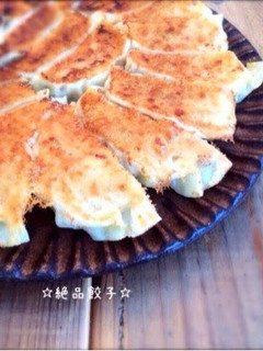 A picture of Delicious Gyoza.