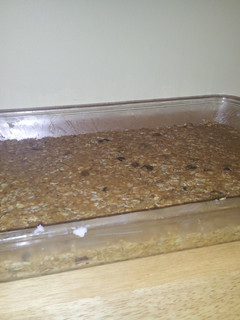 A picture of Peanut Butter Granola Bars.