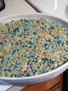 A picture of Rice crispy treats.