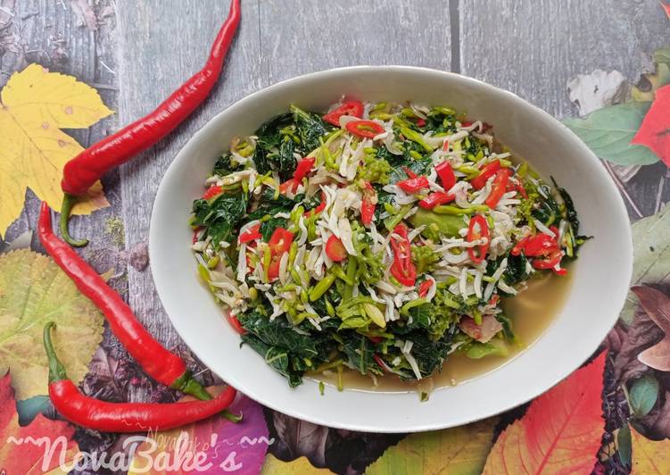 Resep Tumis daun pepaya teri medan yang Enak
