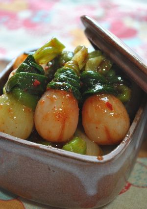 A picture of Green Onions with Kimchi Dressing.