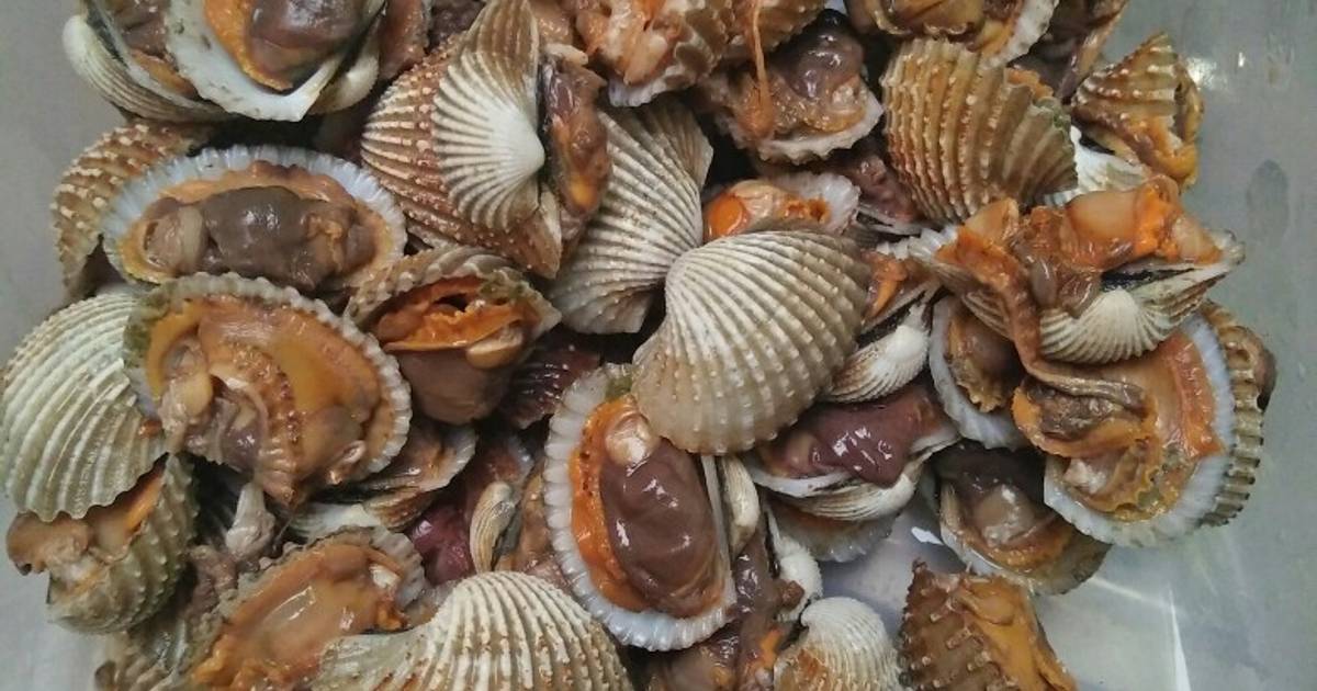 Resep Kerang Dara rebus oleh Nirwasita Senna💞 Cookpad