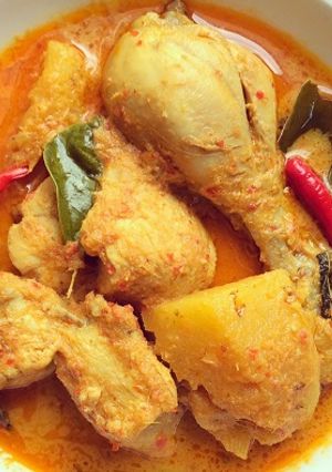 A picture of Padang-style Ayam Kalio (Padang's Chicken Casserole)😋🐥🐣🌶🥘.