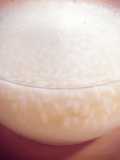 Natural Leaven made with Amazake (Sakadane)
