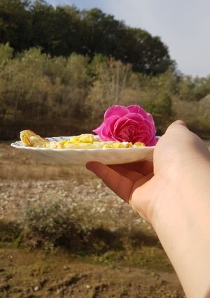 عکسی از دستور خراب کاری کردم 🙆🏻♂️