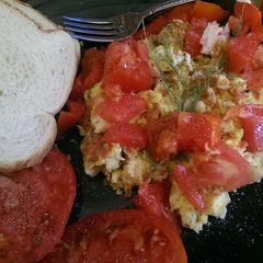 A picture of Pregnant Eggs.