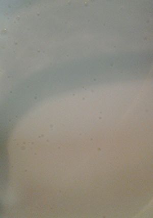 A picture of Vegan sour cream.