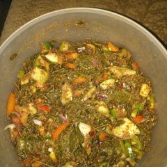 A picture of Kwadon moringa.