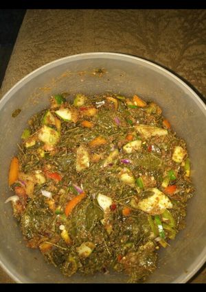 A picture of Kwadon moringa.