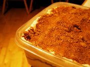 A picture of tiramisu recipe no egg