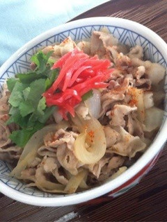 A picture of Authentic and Substantial Pork Don.