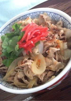 A picture of Authentic and Substantial Pork Don.