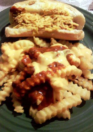 A picture of chili cheese fries.