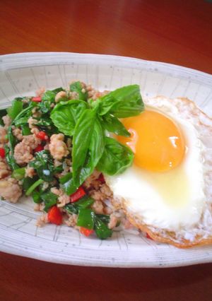 A picture of Stir Fried Chicken and Basil over Rice.