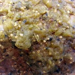 A picture of Tomatillo Braised Pork Loin.
