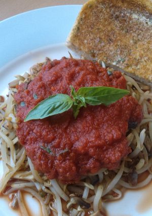 A picture of Vickys Bean Sprout 'Pasta' and Marinara Sauce GF DF EF SF NF.
