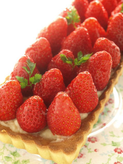 A picture of Custard Cream.