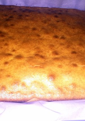 A picture of corn cake.