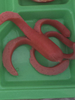 A picture of Octopus hot dogs.