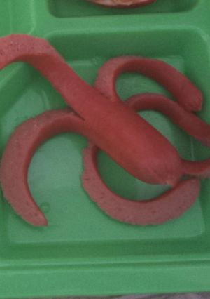 A picture of Octopus hot dogs.