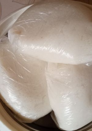 A picture of Rice swallow.