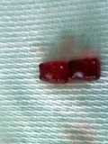 Giant Gummi Bears
