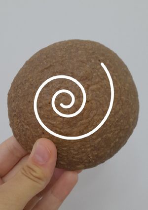 عکسی از دستور کوکی شکلاتی 🍫