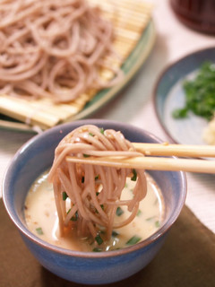 A picture of Cold Soba Noodles with Soy Milk Sauce.