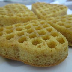 A picture of Waffles.