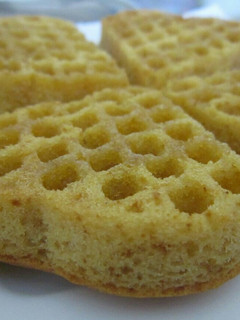A picture of Waffles.