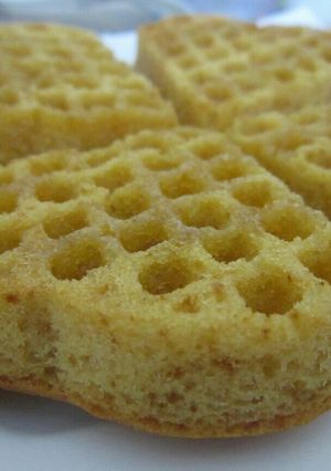 A picture of Waffles.