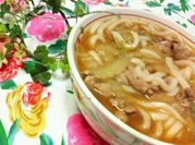 A picture of mentsuyu udon