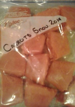 A picture of Baby Purées - Carrots.