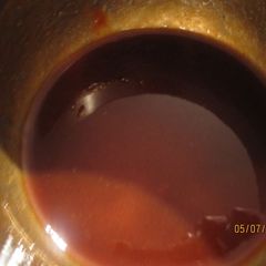 A picture of How To Make Tonkatsu Sauce Overseas.