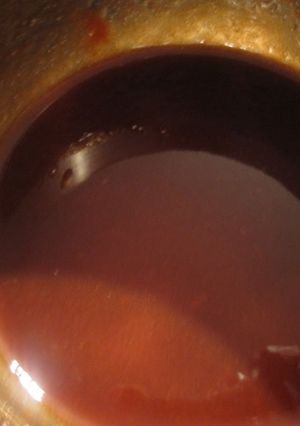 A picture of How To Make Tonkatsu Sauce Overseas.