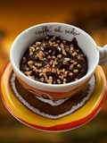 Mousse Vegana di Cioccolato alla Zucca