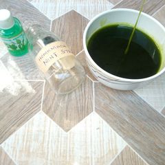 A picture of Homemade Mint syrup.