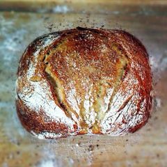 A picture of NoKneed Bread.