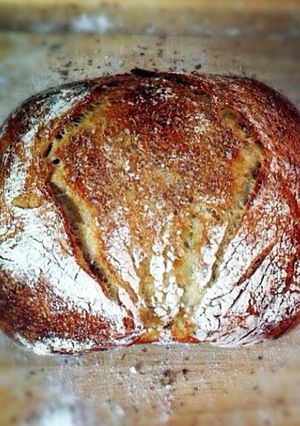 A picture of NoKneed Bread.