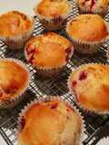 Raspberry and white chocolate muffins