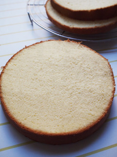 A picture of Light and Moist Milk Sponge Cake.
