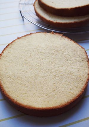 A picture of Light and Moist Milk Sponge Cake.