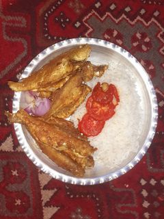 عکسی از دستور ماهی سرخ شده 🤪