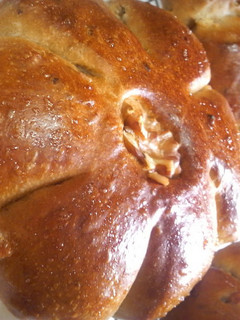 A picture of Light and Fluffy Walnut Bread in a Bread Machine.
