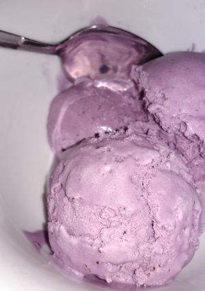 A picture of Blueberry Ice Cream.